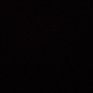 Meet your Posher, Cheyenne